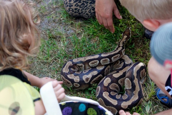 The kids loved the reptiles